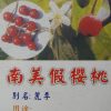 南美假櫻桃