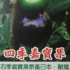 四季嘉寶果