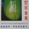 巨大型百香果