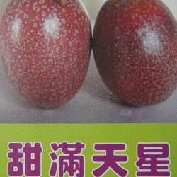 甜滿天星百香果