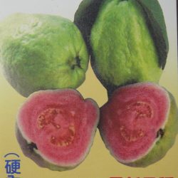 (硬肉)紅肉西瓜芭樂