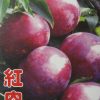 紅肉李